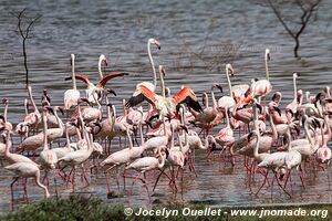 Lake Bogoria National Reserve - Kenya