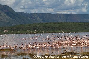Lake Bogoria National Reserve - Kenya