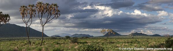 Samburu National Reserve - Kenya