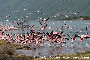 Lake Bogoria National Reserve - Kenya