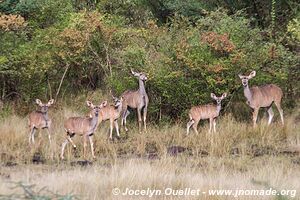 Lake Bogoria National Reserve - Kenya