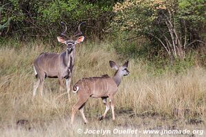 Lake Bogoria National Reserve - Kenya