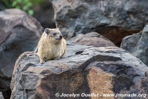 Lake Bogoria National Reserve - Kenya