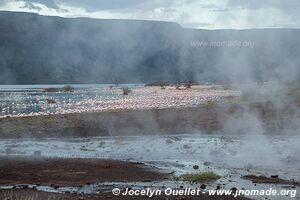 Lake Bogoria National Reserve - Kenya