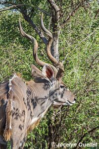 Lake Bogoria National Reserve - Kenya