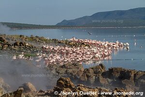 Réserve nationale du lac Bogoria - Kenya