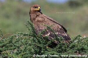 Lake Bogoria National Reserve - Kenya