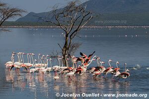 Lake Bogoria National Reserve - Kenya