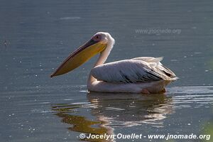 Lake Bogoria National Reserve - Kenya