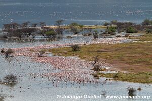 Lake Bogoria National Reserve - Kenya