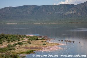 Réserve nationale du lac Bogoria - Kenya