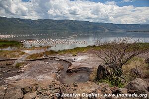 Réserve nationale du lac Bogoria - Kenya