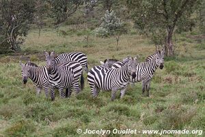 Parc national de Hell's Gate - Kenya