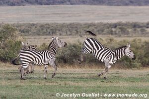 Parc national de Hell's Gate - Kenya