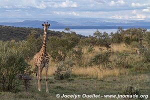 Hell's Gate National Park - Kenya