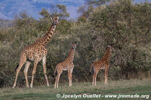 Hell's Gate National Park - Kenya