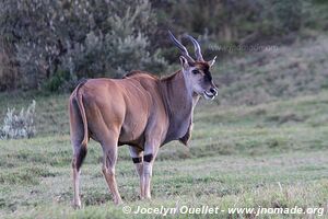 Hell's Gate National Park - Kenya