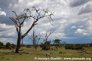 Ol Pejeta - Kenya