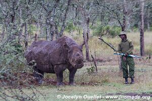 Ol Pejeta - Kenya