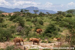 Réserve nationale de Samburu - Kenya