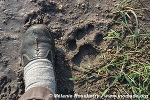 Queen Elizabeth National Park - Uganda