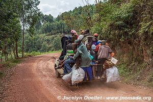 Miscellaneous - Uganda