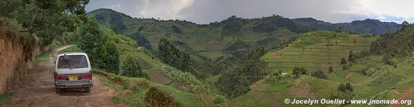  Bwindi Impenetrable Forest - Uganda