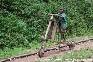 Forêt impénétable de Bwindi - Ouganda