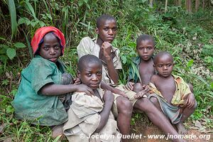  Bwindi Impenetrable Forest - Uganda