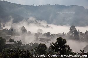  Bwindi Impenetrable Forest - Uganda