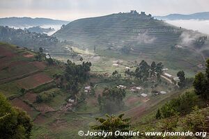 Forêt impénétable de Bwindi - Ouganda