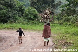  Bwindi Impenetrable Forest - Uganda