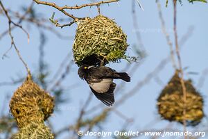 Queen Elizabeth National Park - Uganda