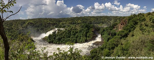 Parc national des chutes de Murchison - Ouganda