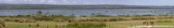 Murchison Falls National Park - Uganda