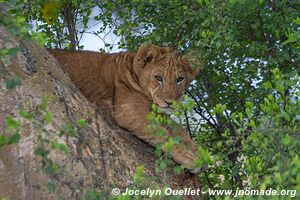 Parc national Queen Elizabeth - Ouganda