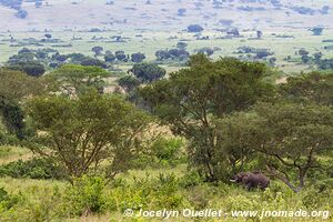 Queen Elizabeth National Park - Uganda