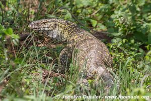 Parc national Queen Elizabeth - Ouganda