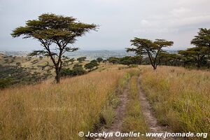 Queen Elizabeth National Park - Uganda