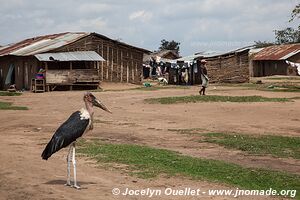 Parc national Queen Elizabeth - Ouganda