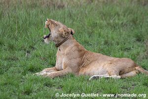 Parc national Queen Elizabeth - Ouganda