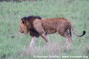 Parc national Queen Elizabeth - Ouganda