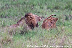 Parc national Queen Elizabeth - Ouganda