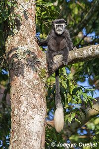 Kasenda Craters Region - Uganda