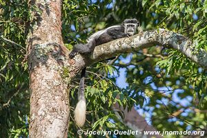 Région des cratères de Kasenda - Ouganda