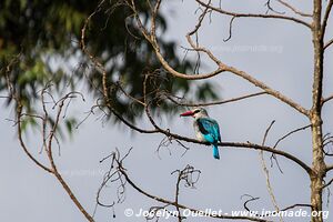 Kasenda Craters Region - Uganda