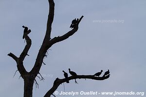 Kasenda Craters Region - Uganda