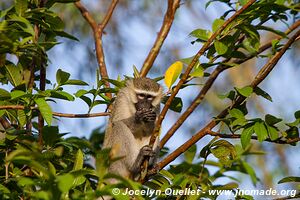 Kasenda Craters Region - Uganda