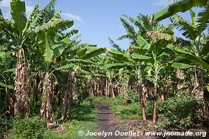 Région des cratères de Kasenda - Ouganda