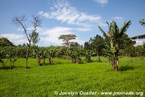 Kasenda Craters Region - Uganda